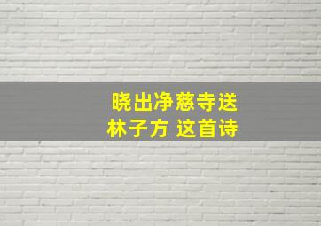 晓出净慈寺送林子方 这首诗